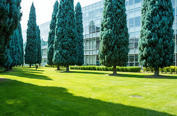 Биомониторинг территорий — новая практика для ответственных застройщиков