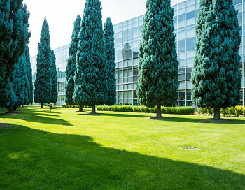 Биомониторинг территорий — новая практика для ответственных застройщиков