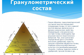 Гранулометрический состав: что это такое и для чего проводятся исследования